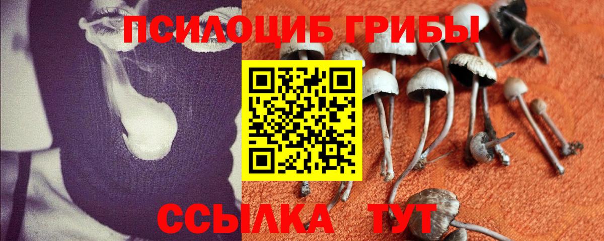 Псилоцибиновые грибы мухоморы  Вход с VPN  даркнет сайт  Клин 